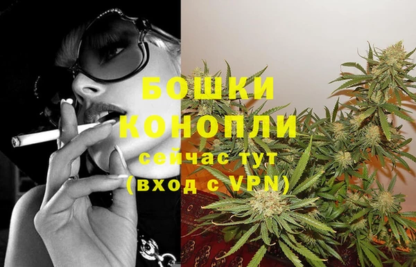 сатива Богородск