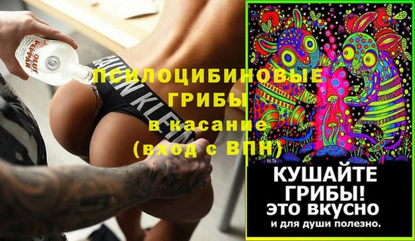 ECSTASY Белокуриха