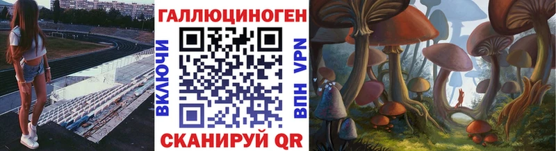 Галлюциногенные грибы мухоморы Дудинка